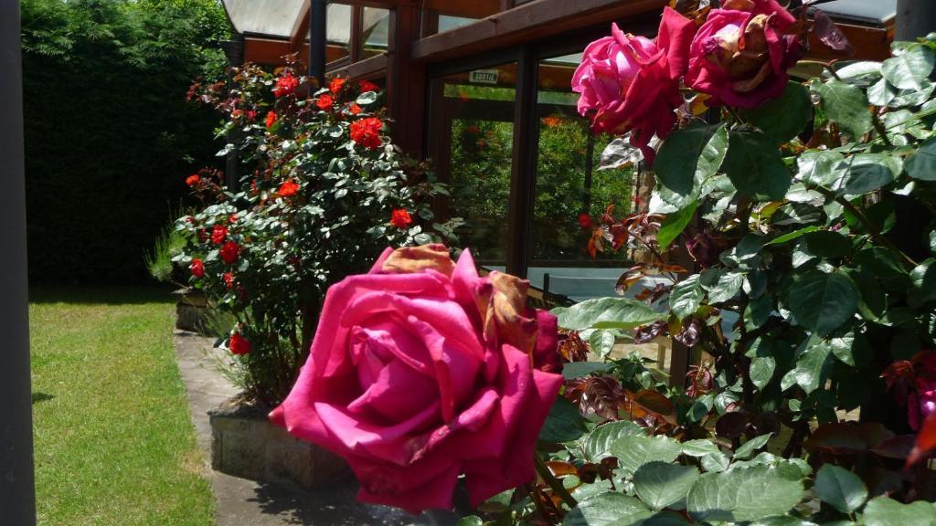 Logis La Rose Des Vents Hotel โวลมิค ภายนอก รูปภาพ